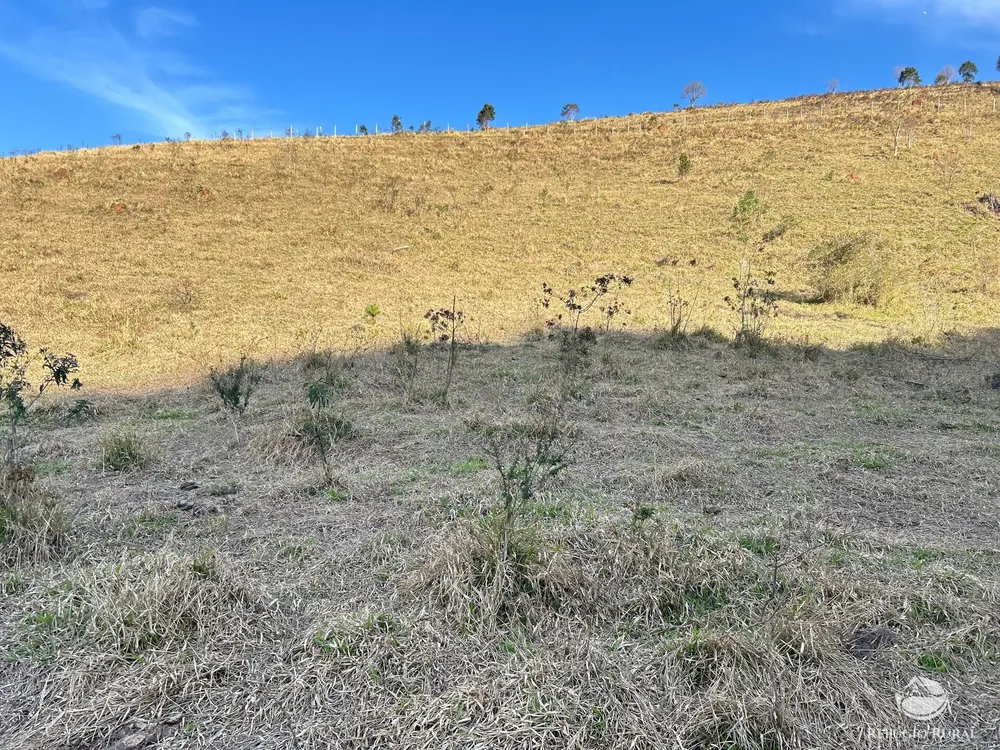 Terreno, 7 hectares - Foto 11