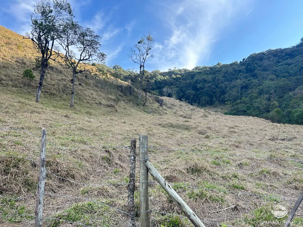 Terreno, 7 hectares - Foto 12