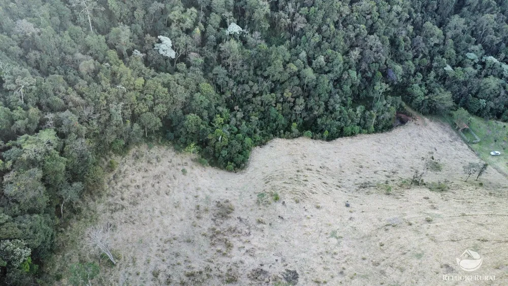 Terreno, 7 hectares - Foto 8