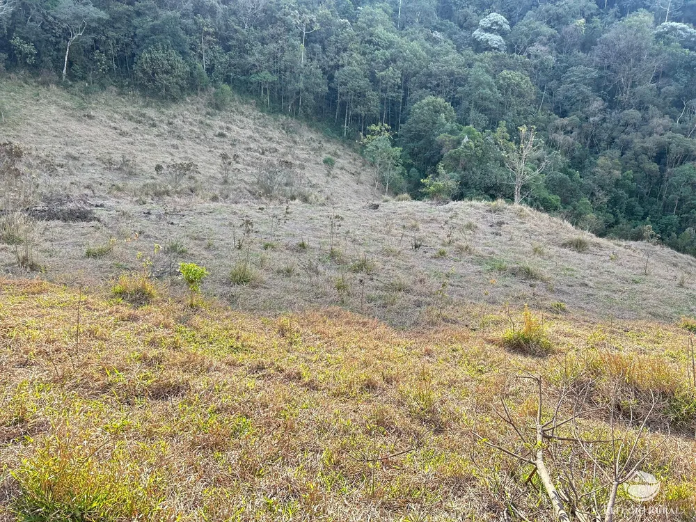 Terreno, 7 hectares - Foto 7
