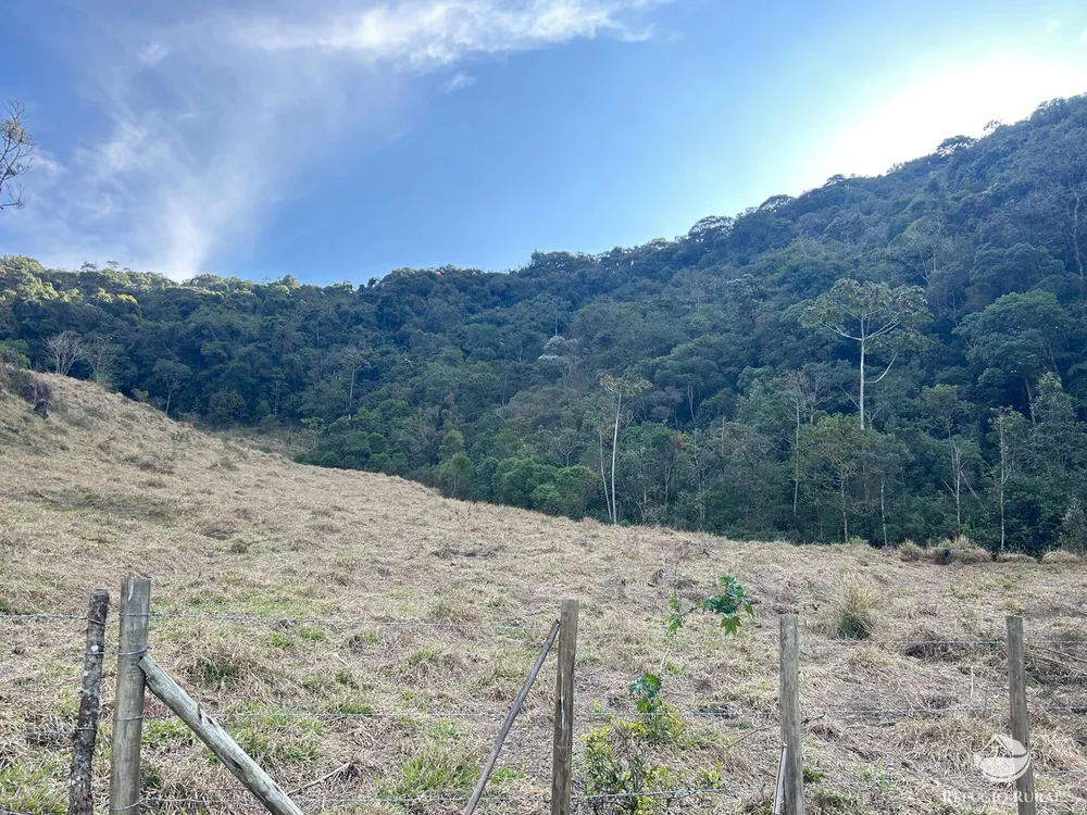 Terreno, 7 hectares - Foto 10