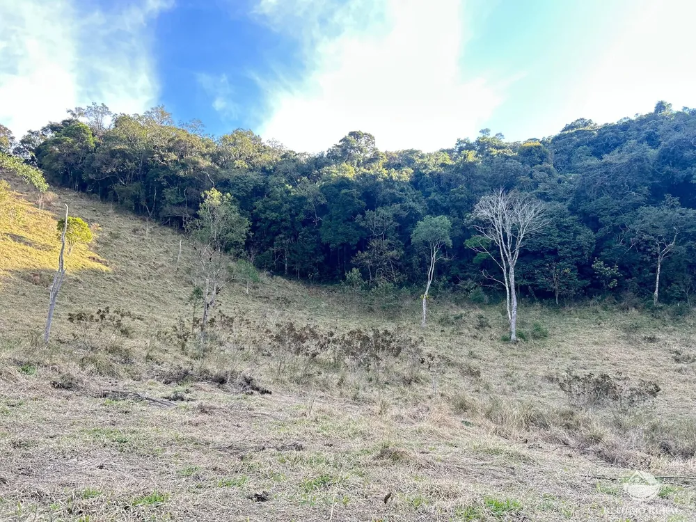 Terreno, 7 hectares - Foto 4