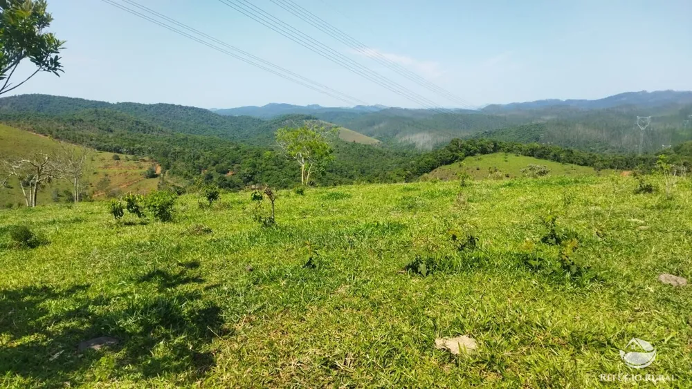 Sítio, 73 hectares - Foto 6