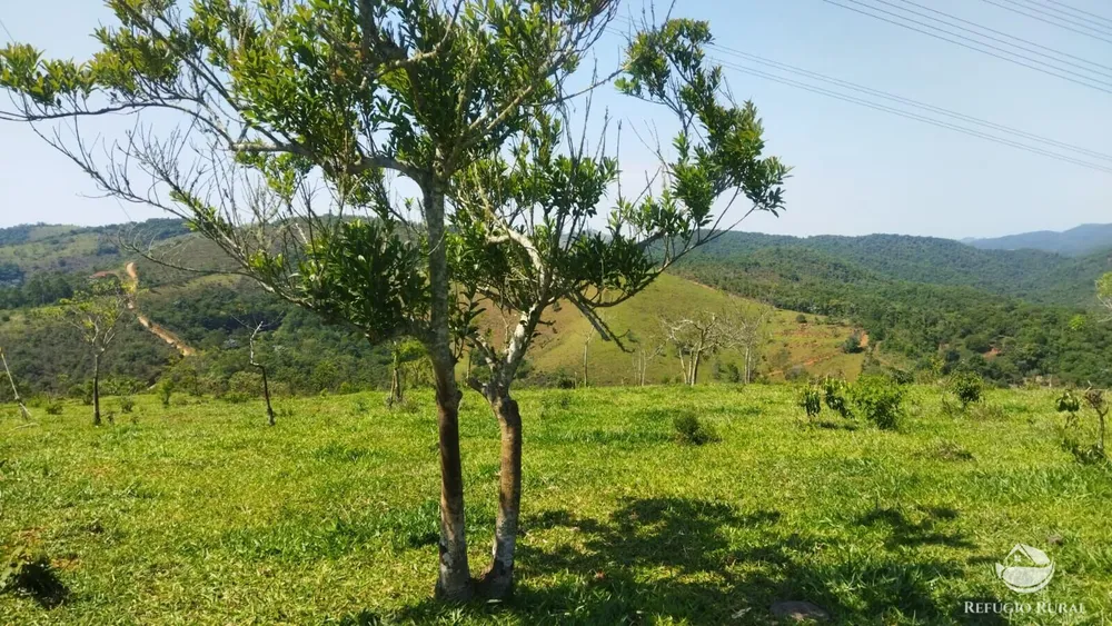 Sítio, 73 hectares - Foto 2