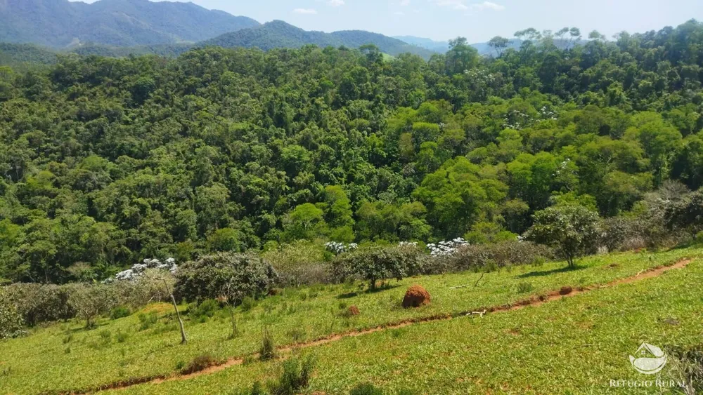 Sítio, 73 hectares - Foto 8