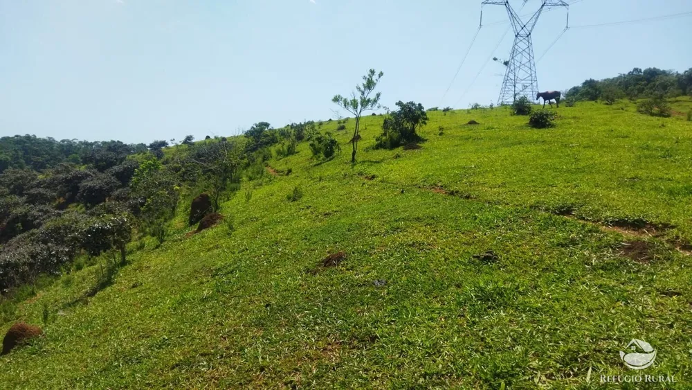 Sítio, 73 hectares - Foto 11