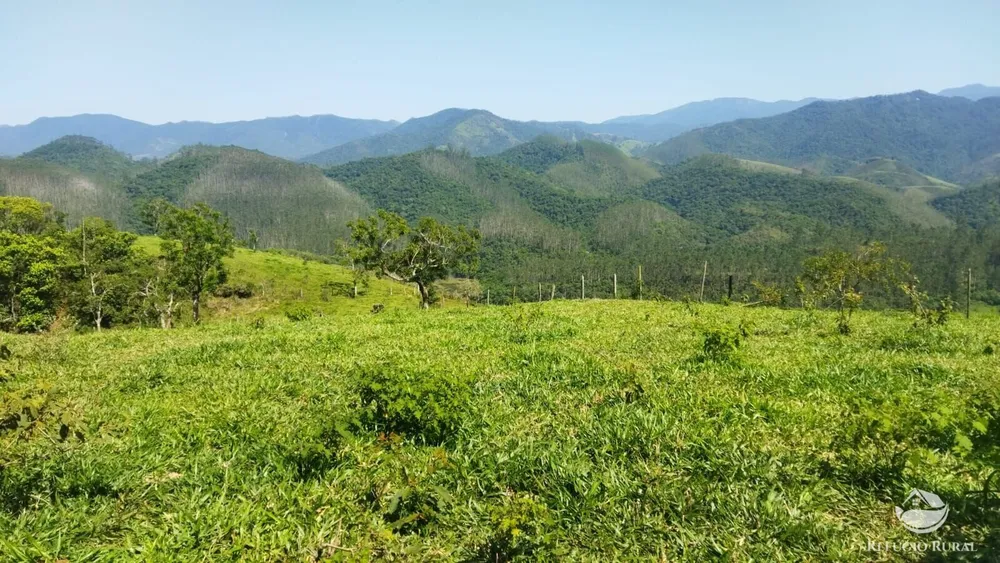 Sítio, 73 hectares - Foto 1