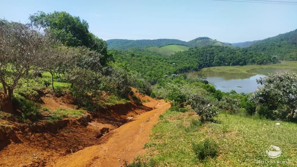 Sítio, 73 hectares - Foto 15