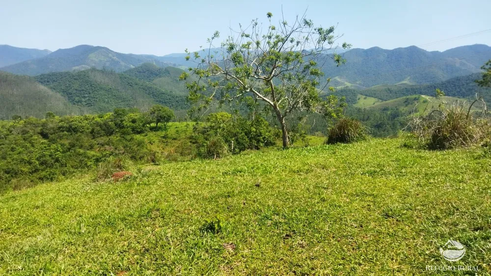Sítio, 73 hectares - Foto 7