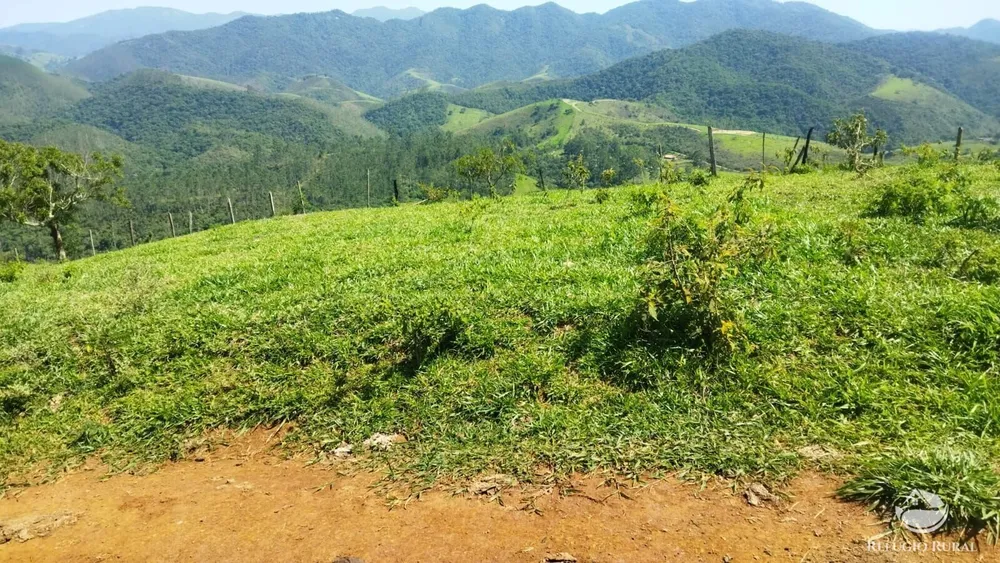 Sítio, 73 hectares - Foto 4