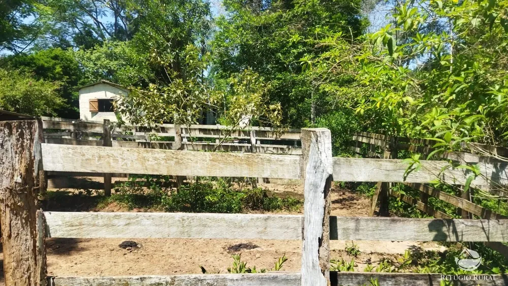Sítio, 73 hectares - Foto 16