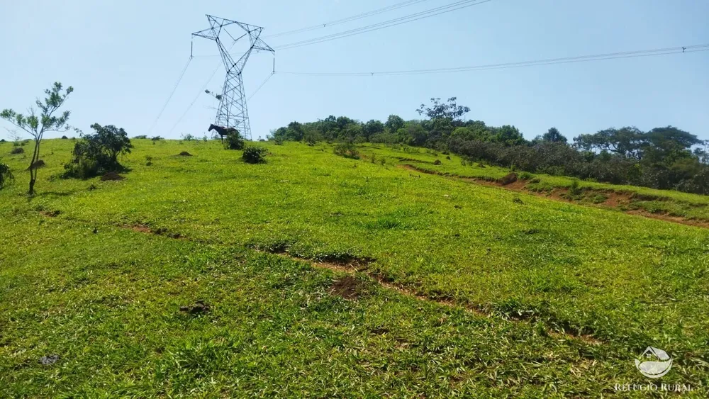 Sítio, 73 hectares - Foto 12