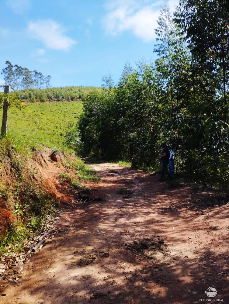 Sítio, 58 hectares - Foto 10