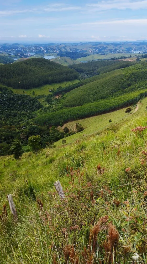 Sítio, 58 hectares - Foto 12