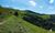 Sítio, 1 quarto, 58 hectares - Foto 4