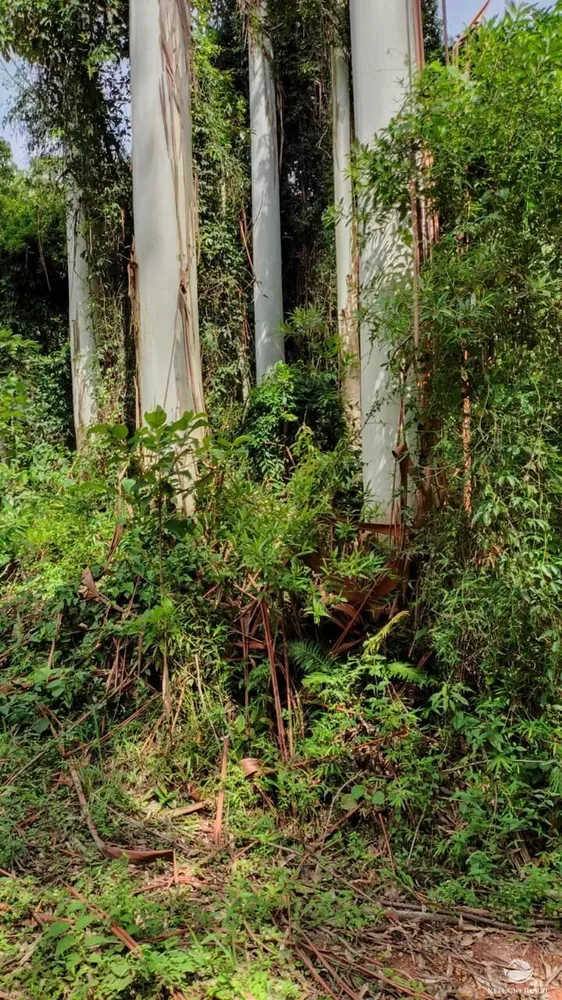 Fazenda, 169 hectares - Foto 3