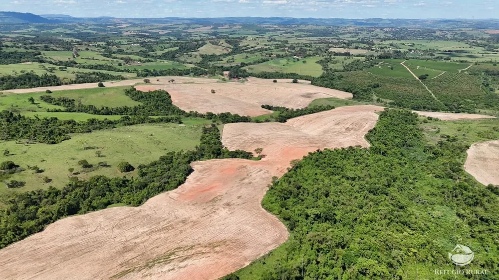 Fazenda, 653 hectares - Foto 7