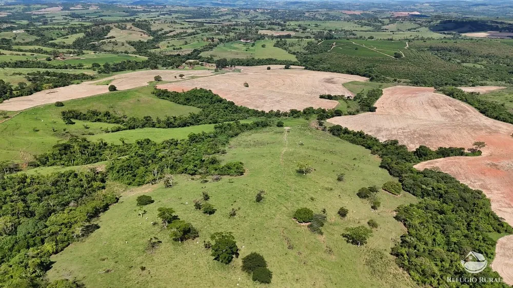 Fazenda, 653 hectares - Foto 11