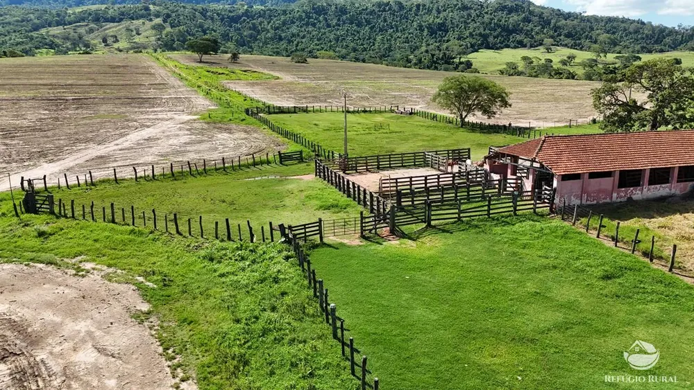 Fazenda, 653 hectares - Foto 6