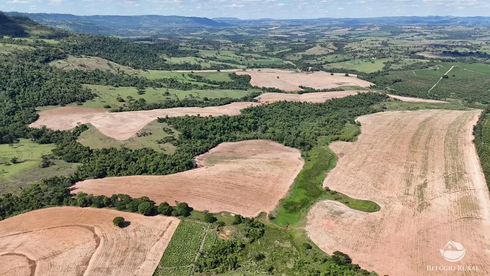 Fazenda, 653 hectares - Foto 8