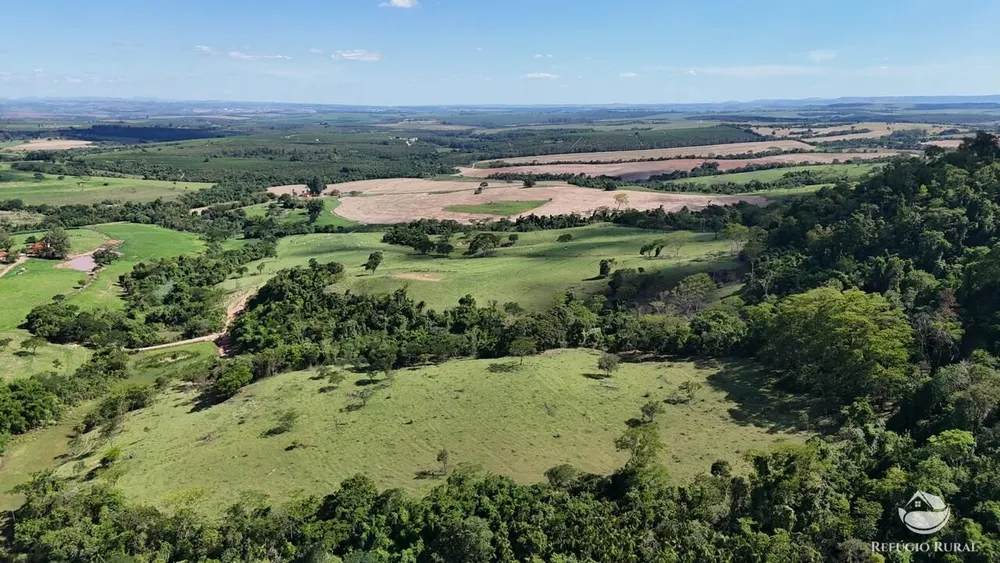 Fazenda, 653 hectares - Foto 5