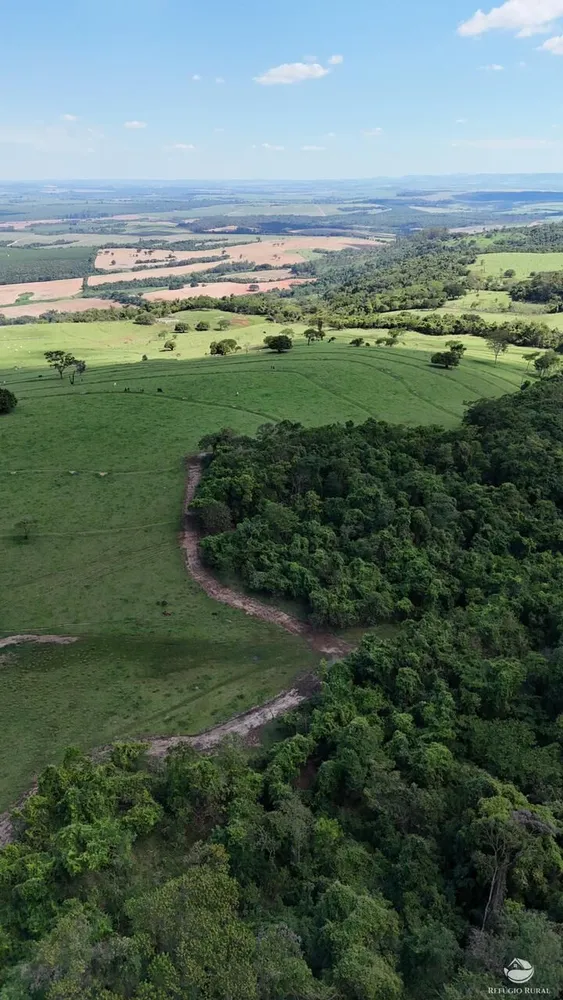 Fazenda, 653 hectares - Foto 10