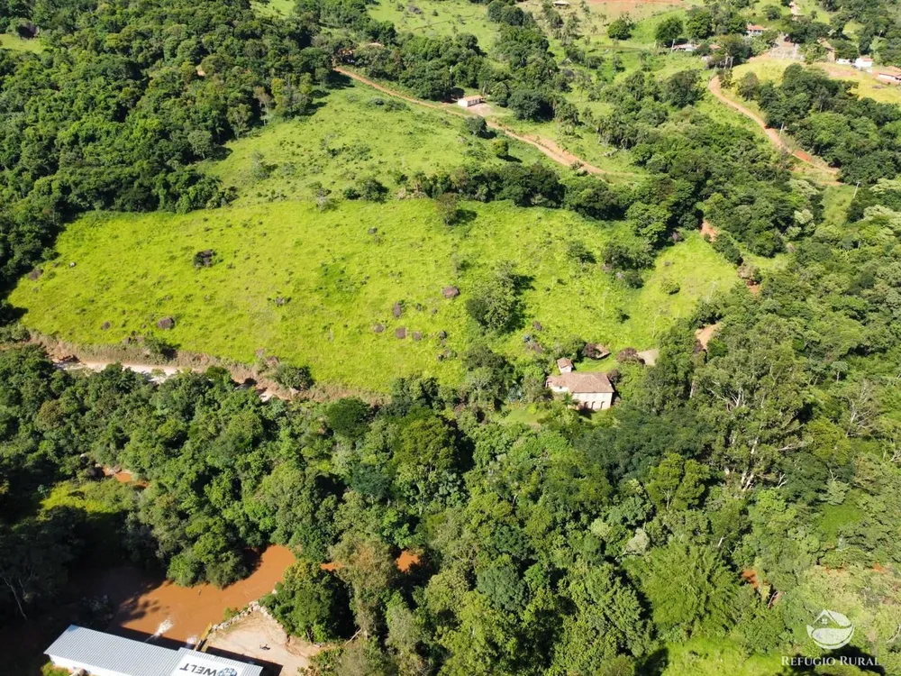 Sítio, 5 hectares - Foto 8