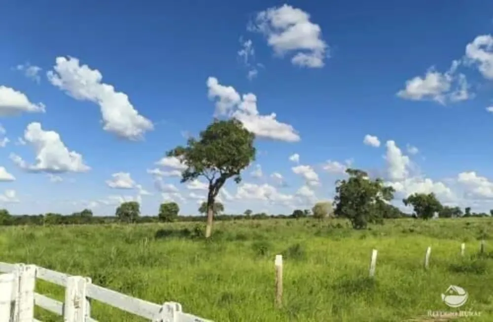 Fazenda, 2439 hectares - Foto 1