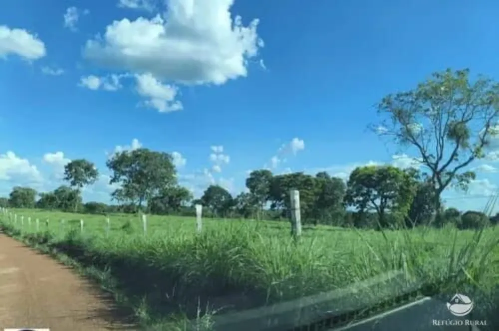 Fazenda, 2439 hectares - Foto 6