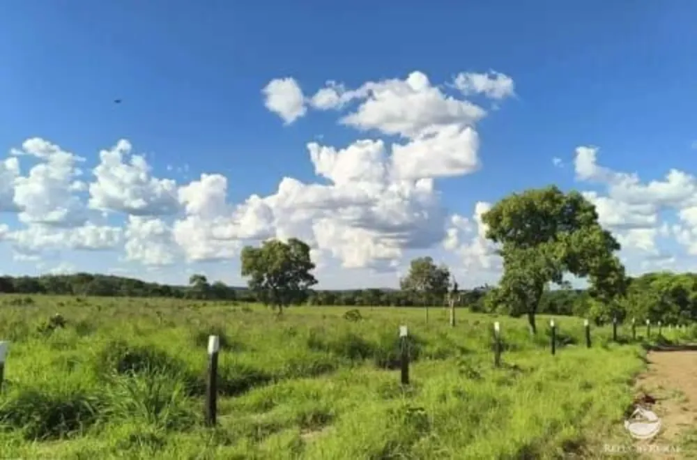 Fazenda, 2439 hectares - Foto 2