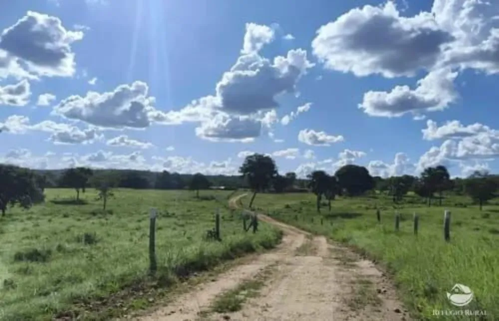 Fazenda, 2439 hectares - Foto 4
