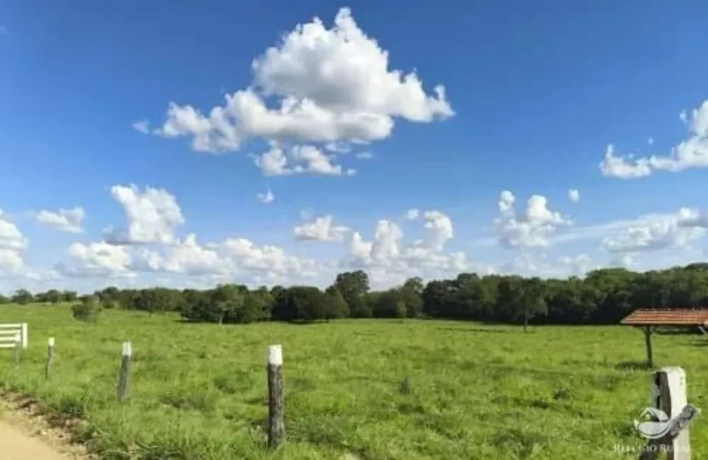 Fazenda, 2439 hectares - Foto 3