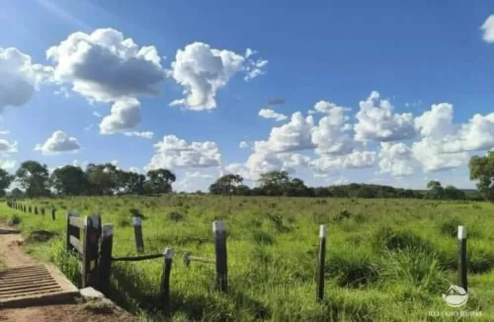 Fazenda, 2439 hectares - Foto 7