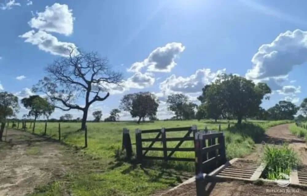 Fazenda, 2439 hectares - Foto 8