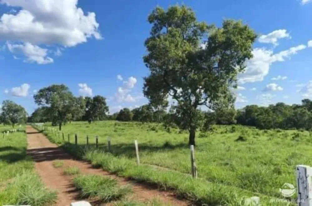 Fazenda, 2439 hectares - Foto 9