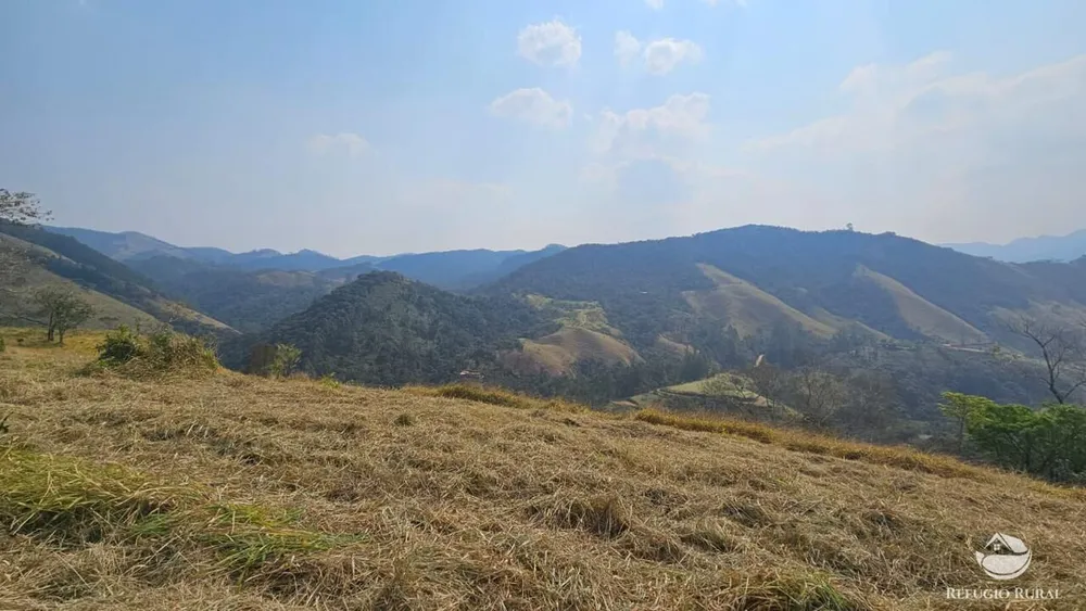 Terreno, 3 hectares - Foto 4