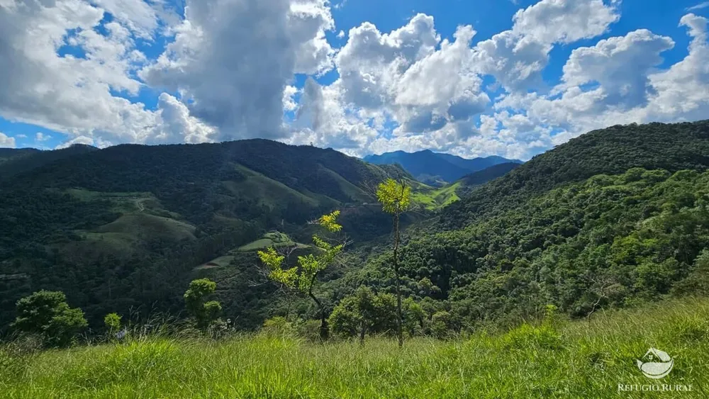 Terreno, 3 hectares - Foto 15