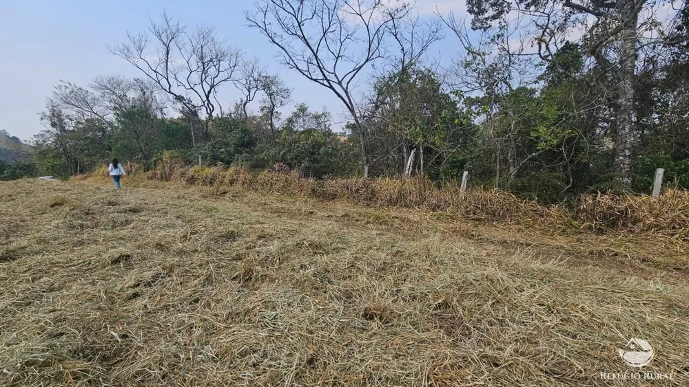 Terreno, 3 hectares - Foto 12