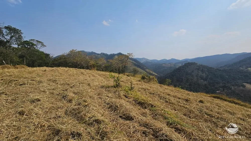 Terreno, 3 hectares - Foto 7