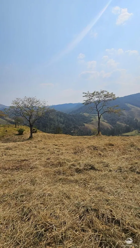 Terreno, 3 hectares - Foto 13