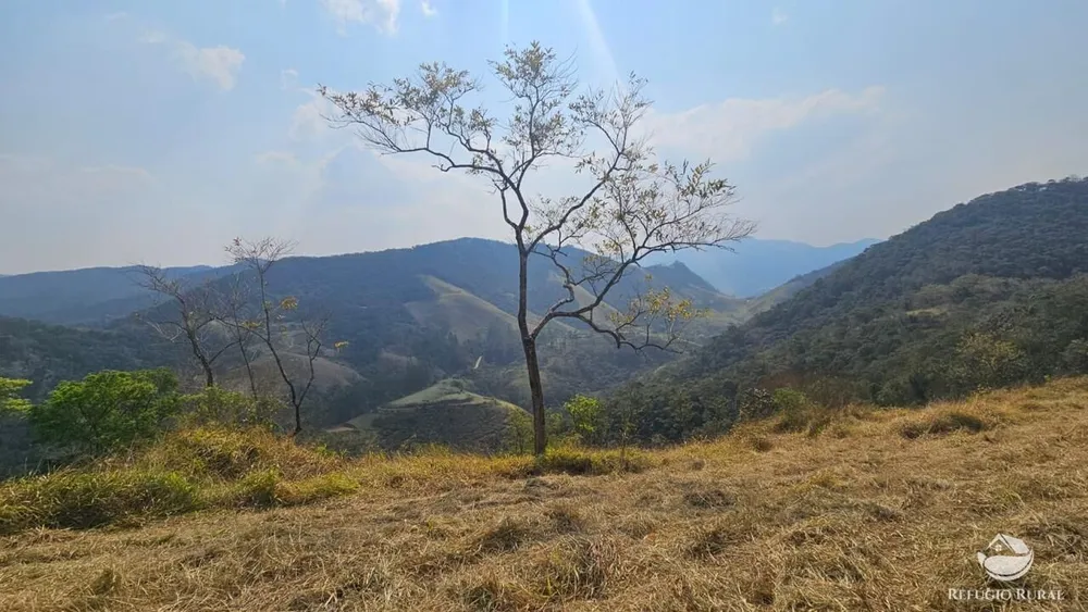 Terreno, 3 hectares - Foto 6