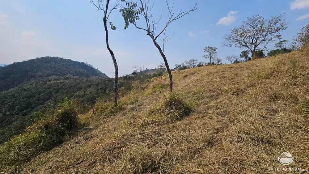 Terreno, 3 hectares - Foto 9