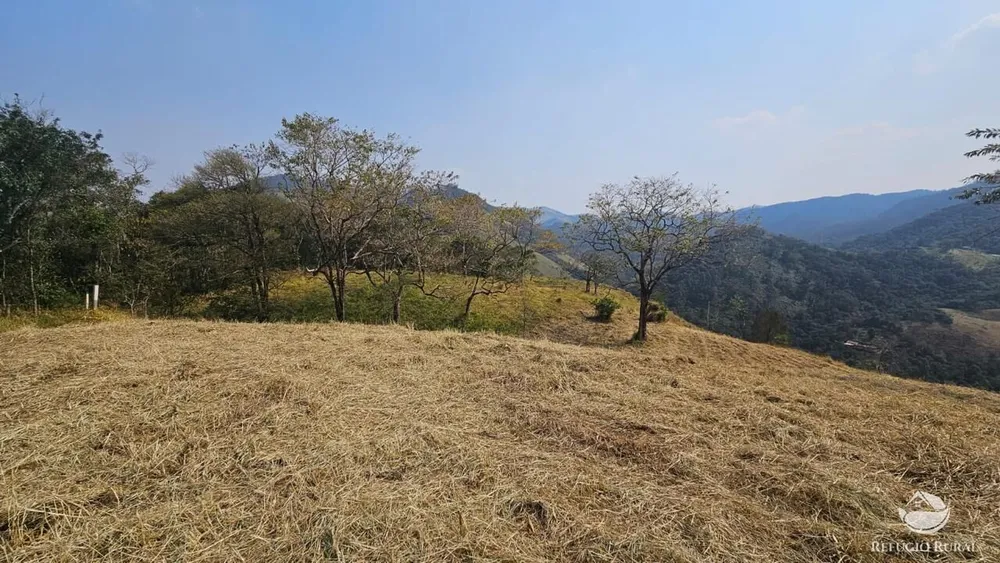 Terreno, 3 hectares - Foto 11