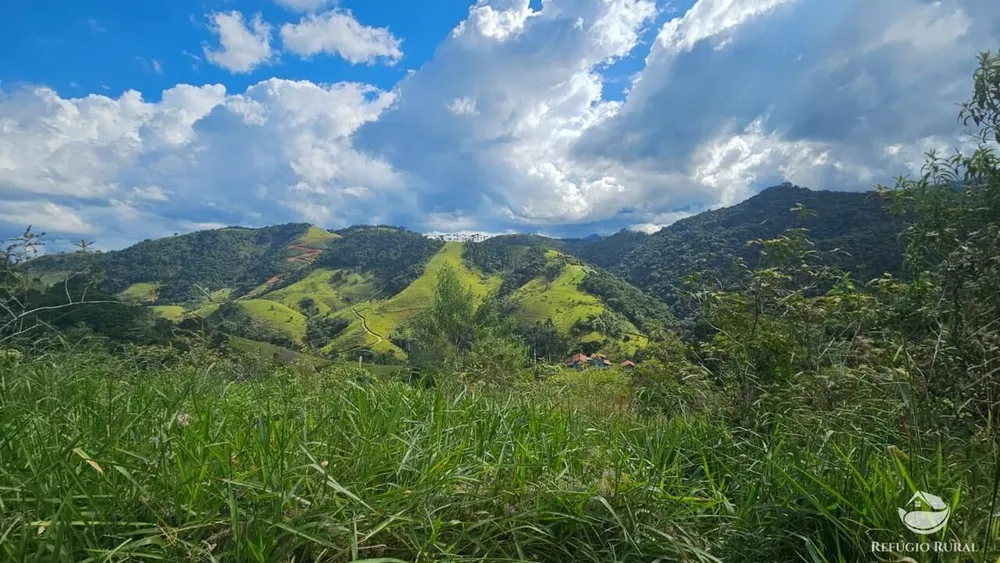 Terreno, 3 hectares - Foto 3