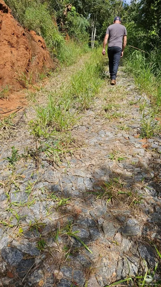 Terreno, 3 hectares - Foto 16