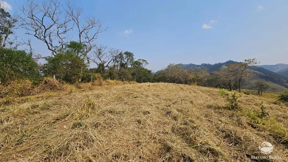 Terreno, 3 hectares - Foto 14