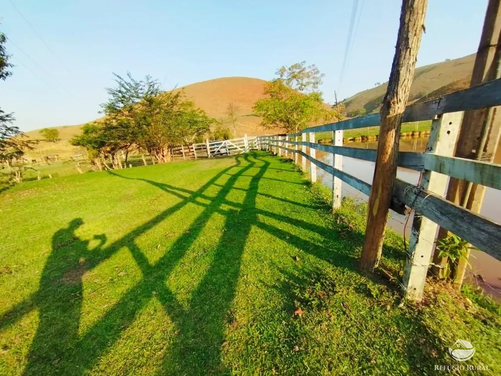 Fazenda, 131 hectares - Foto 12