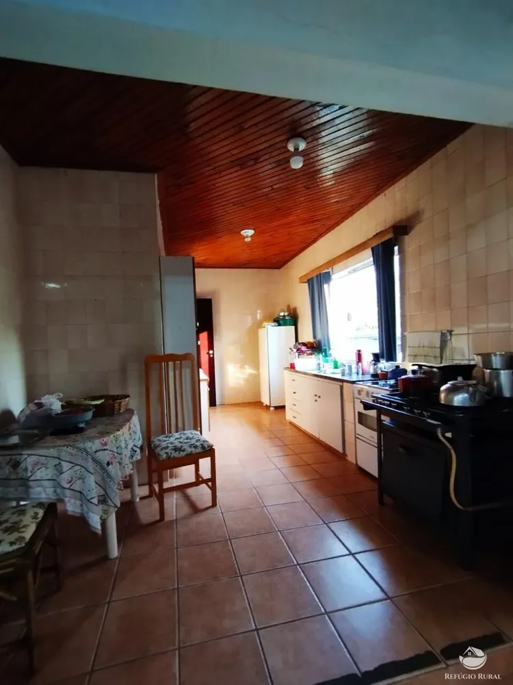 Fazenda, 131 hectares - Foto 7