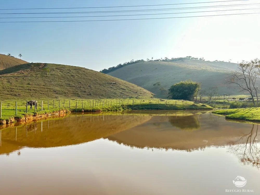Fazenda, 131 hectares - Foto 1