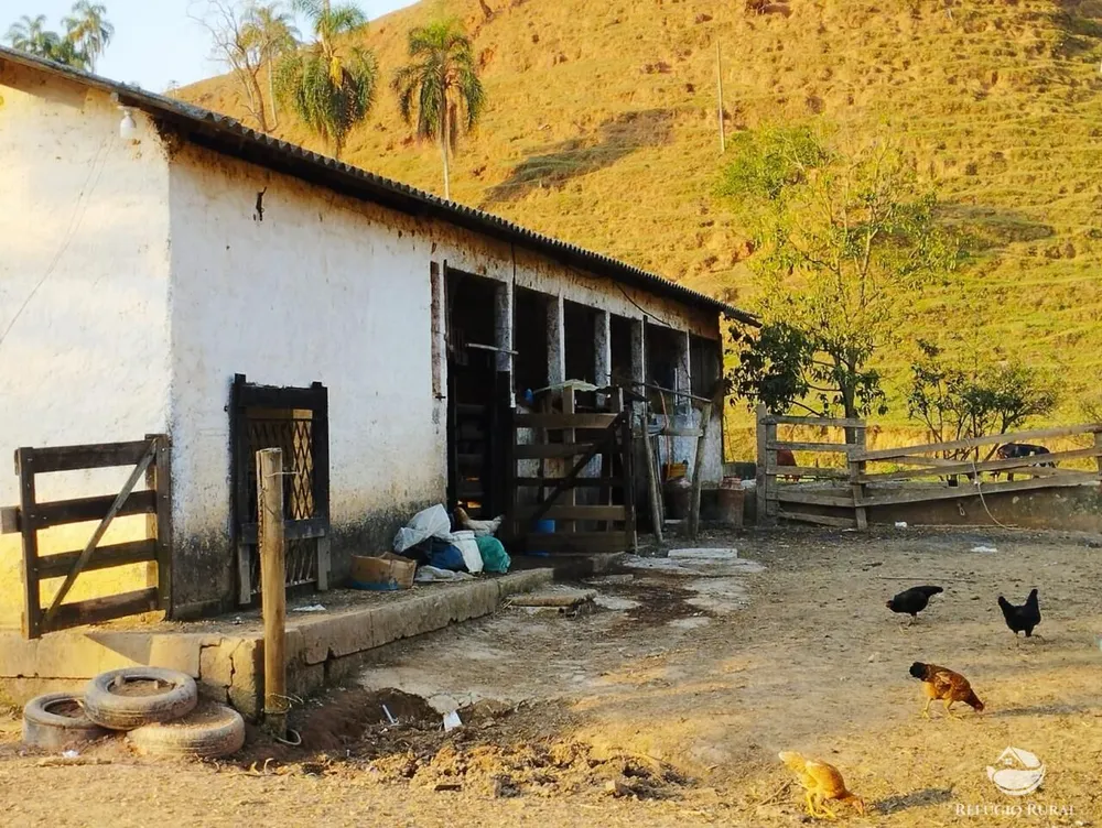 Fazenda, 131 hectares - Foto 8